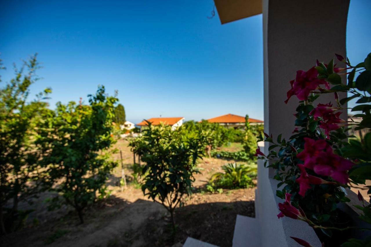 Michelino House Bed & Breakfast Parghelia
